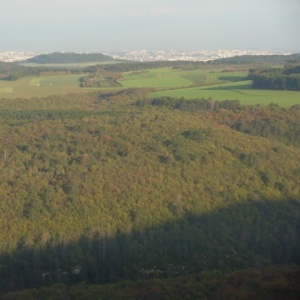 Pélerinage à N.-D. d'Etang - Campagne bourguignone, Dijon au loin.